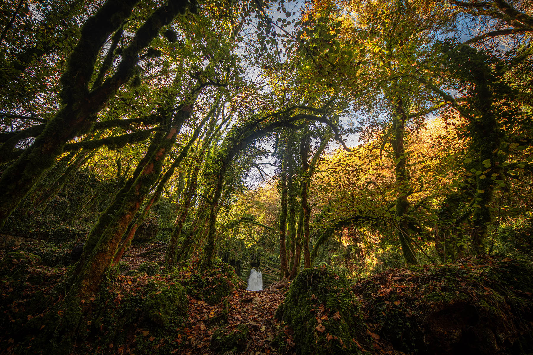 Trevi_nel_Lazio_RM_Ott2025_3