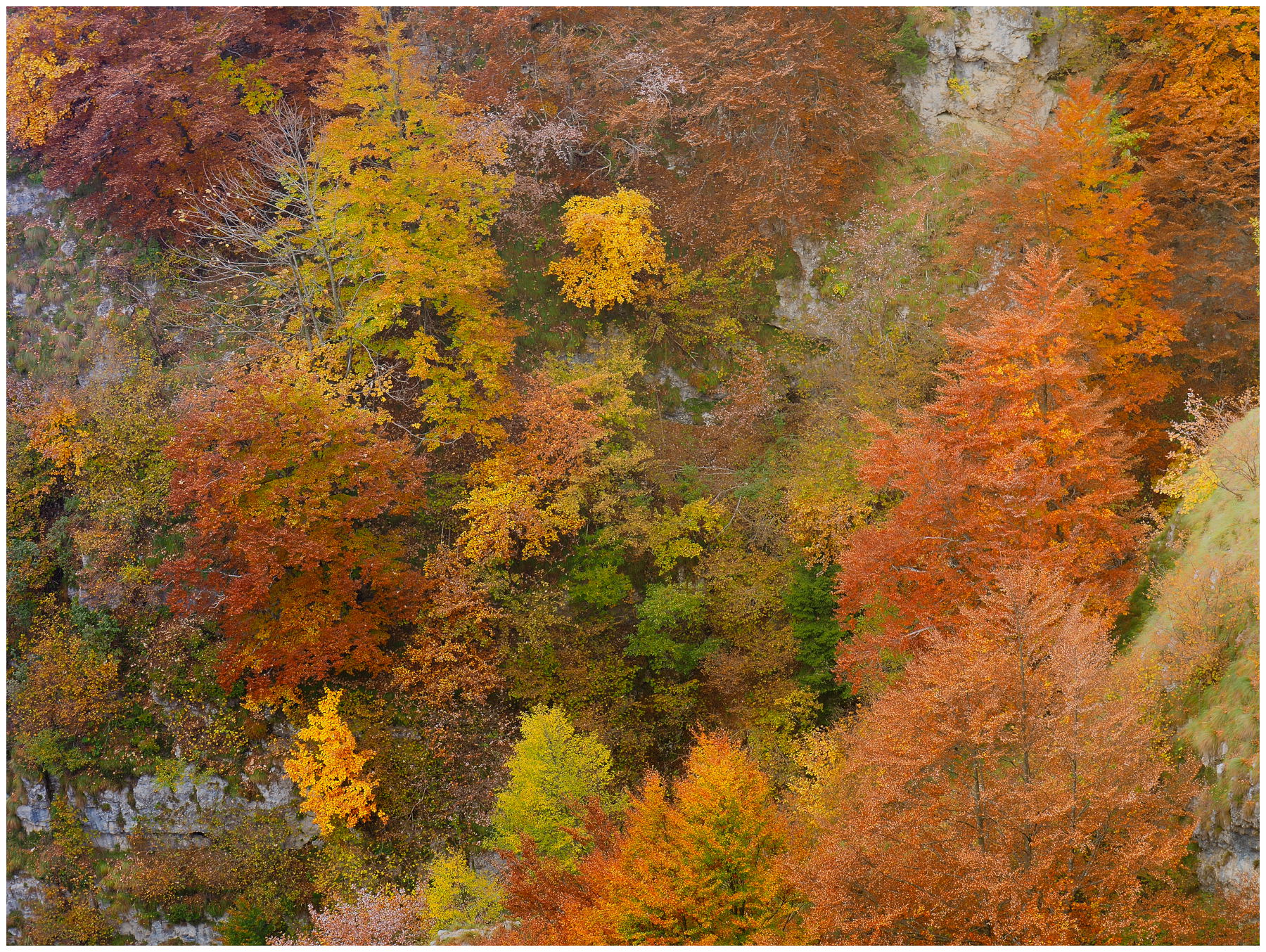 Autunno nella Val Scarabozza