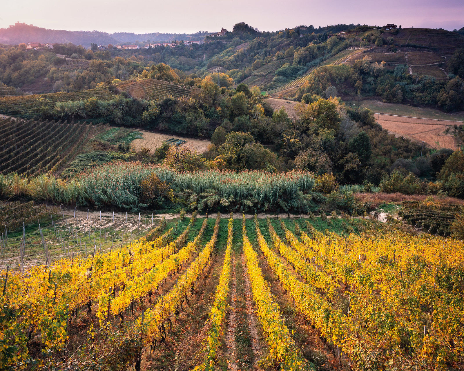 Intrepid 4x5 | Fujifilm Provia 100F