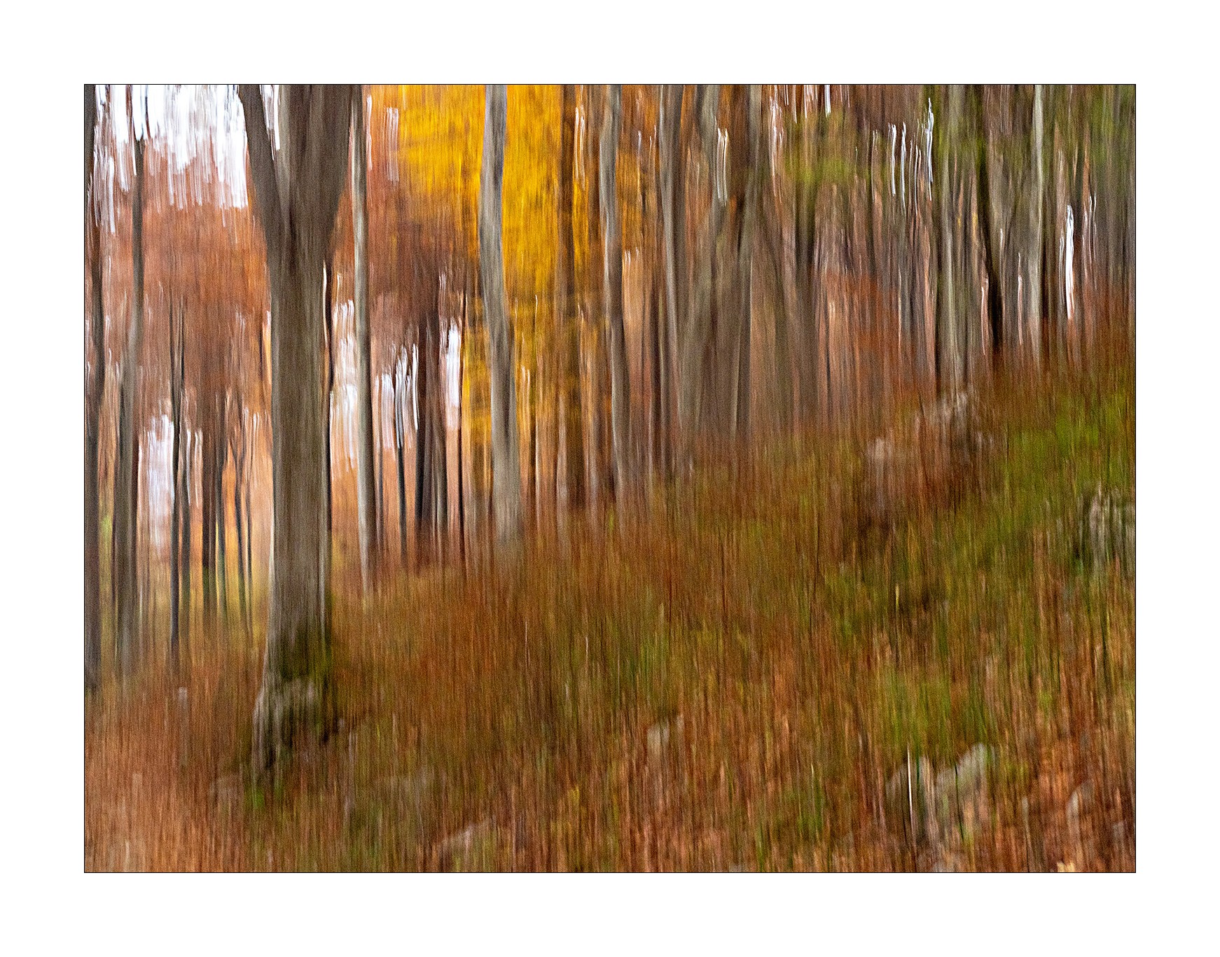 pennellate d'autunno