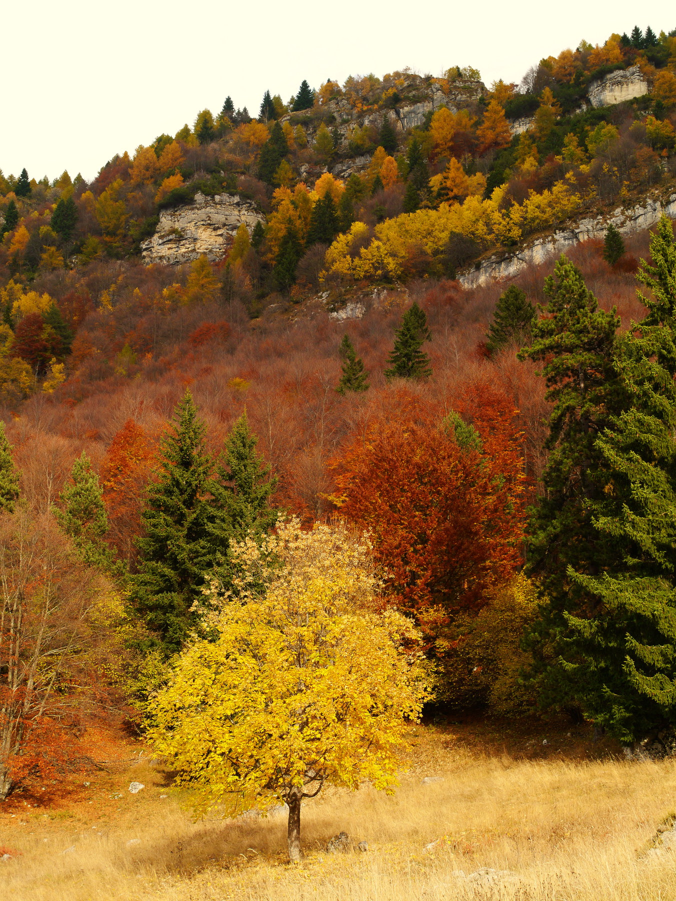 Autunno  nella Valle del Cheserle al Rifugio Lancia