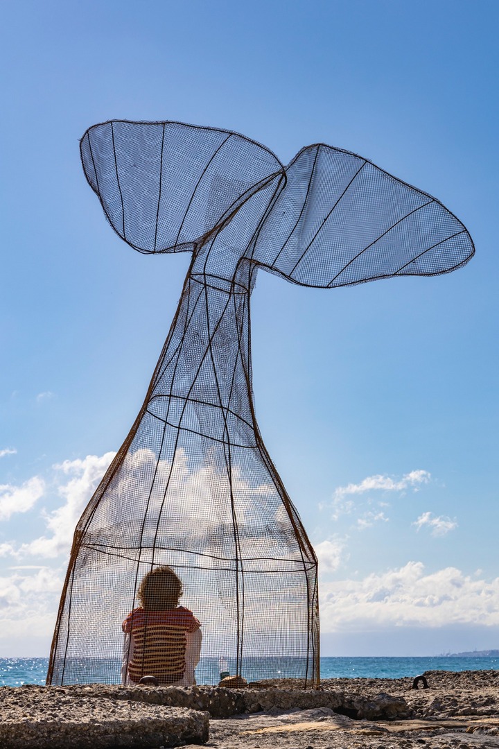 Nella pancia della balena