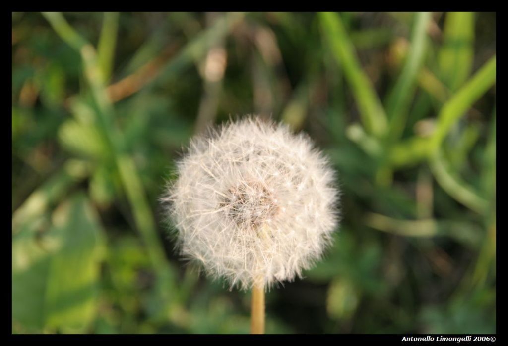Assenza di vento.....
