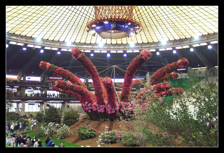 Composizione centrale