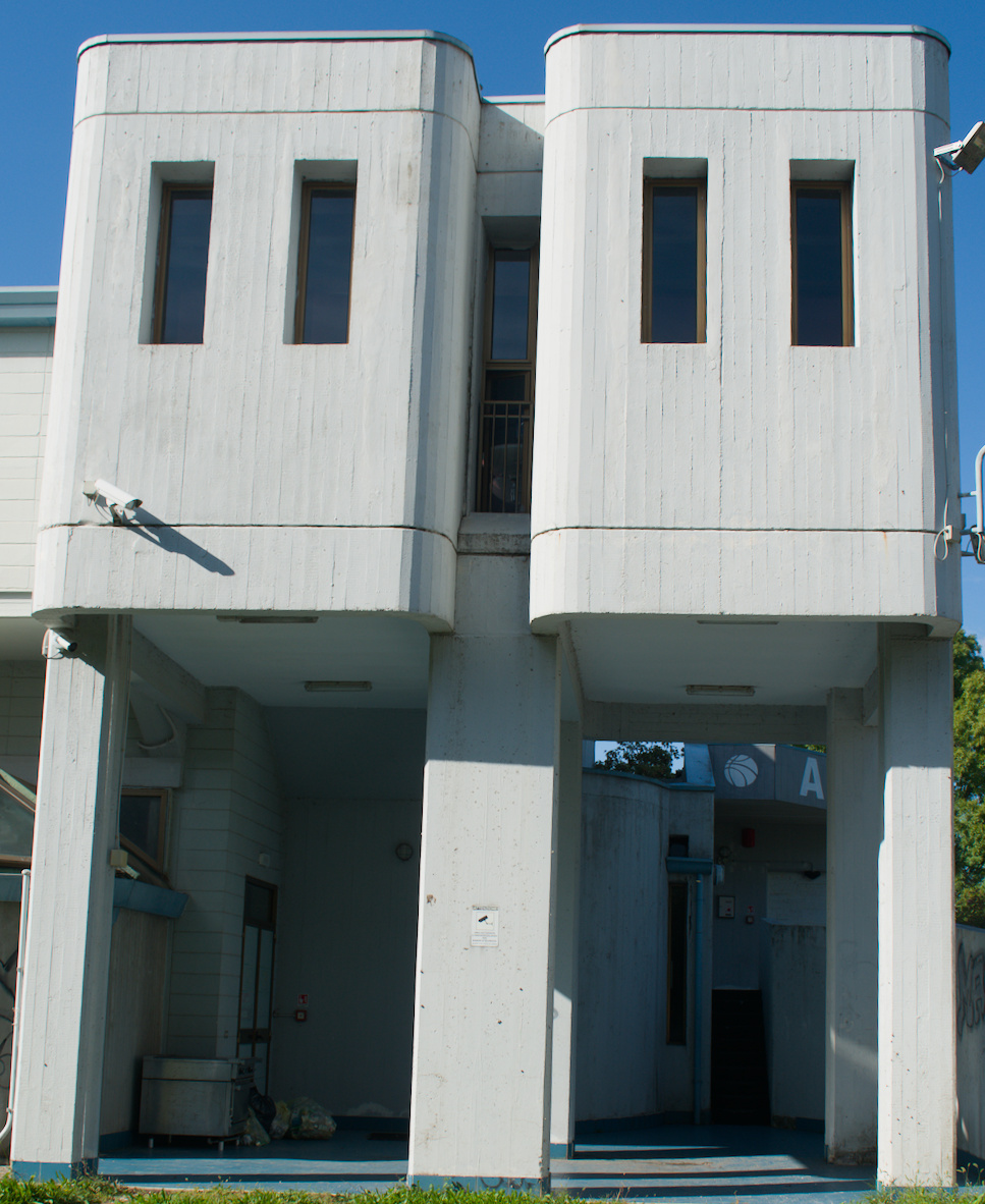 Robot in cemento armato