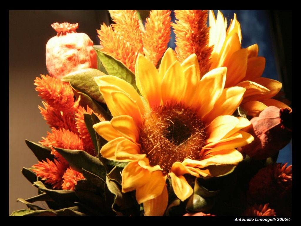 il Giallo....ed il Rosso