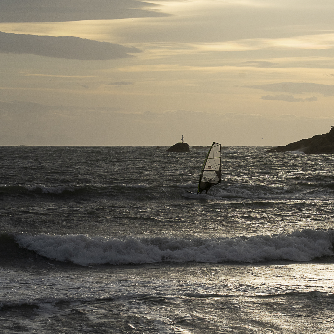 Windsurfer