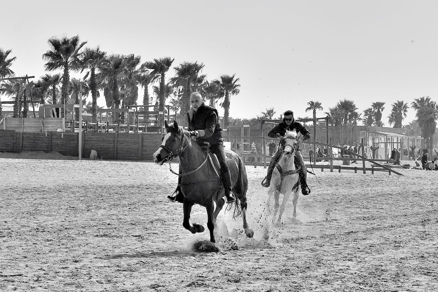 ...a singolar tenzone