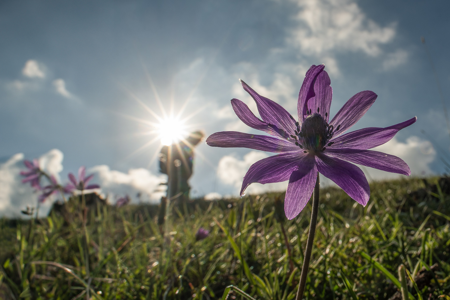 Macro_MteGuadagnolo_RM_Apr2026_1