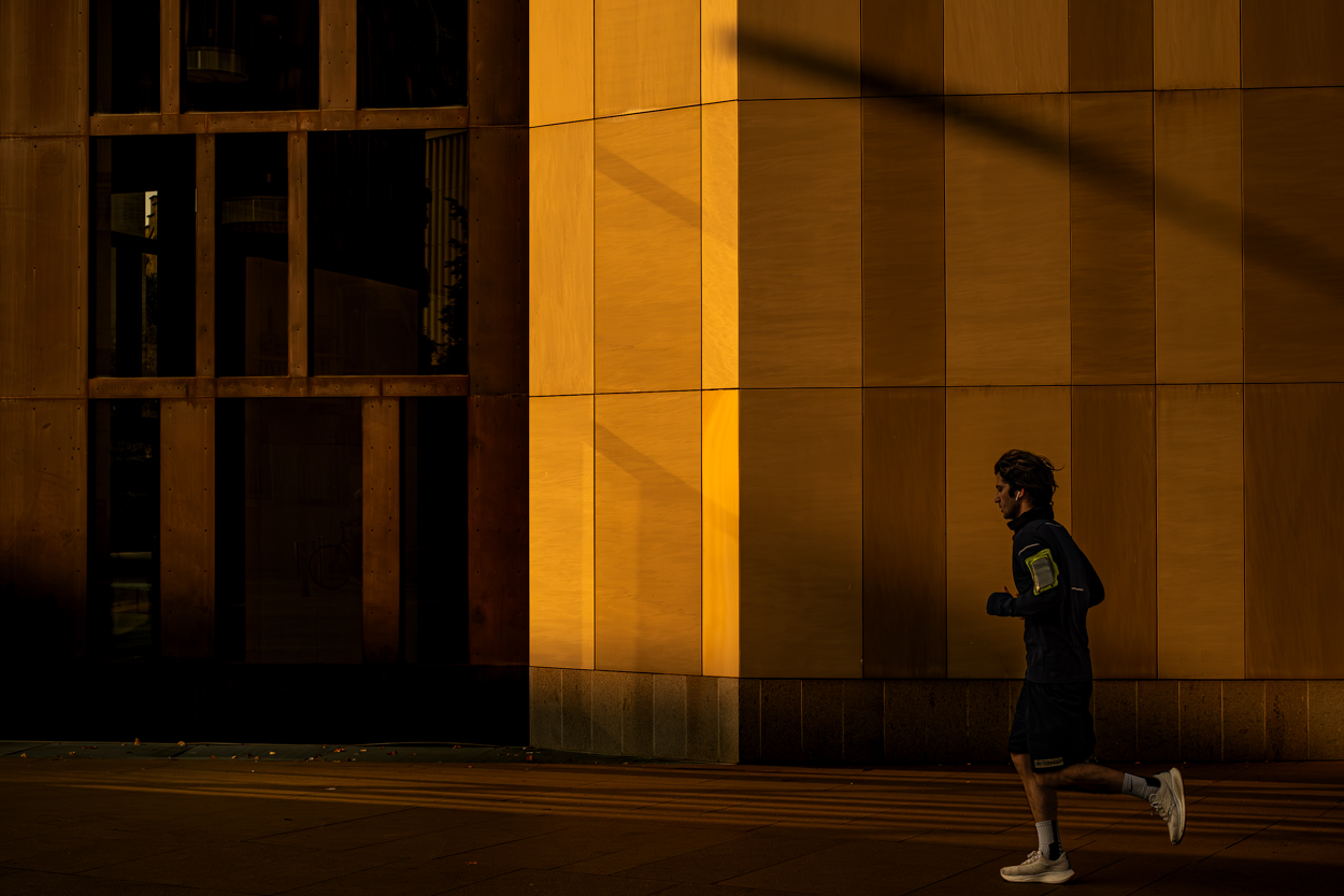 Luce