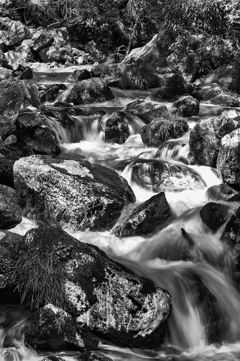 Ruisseau de la Vall�e Etroite