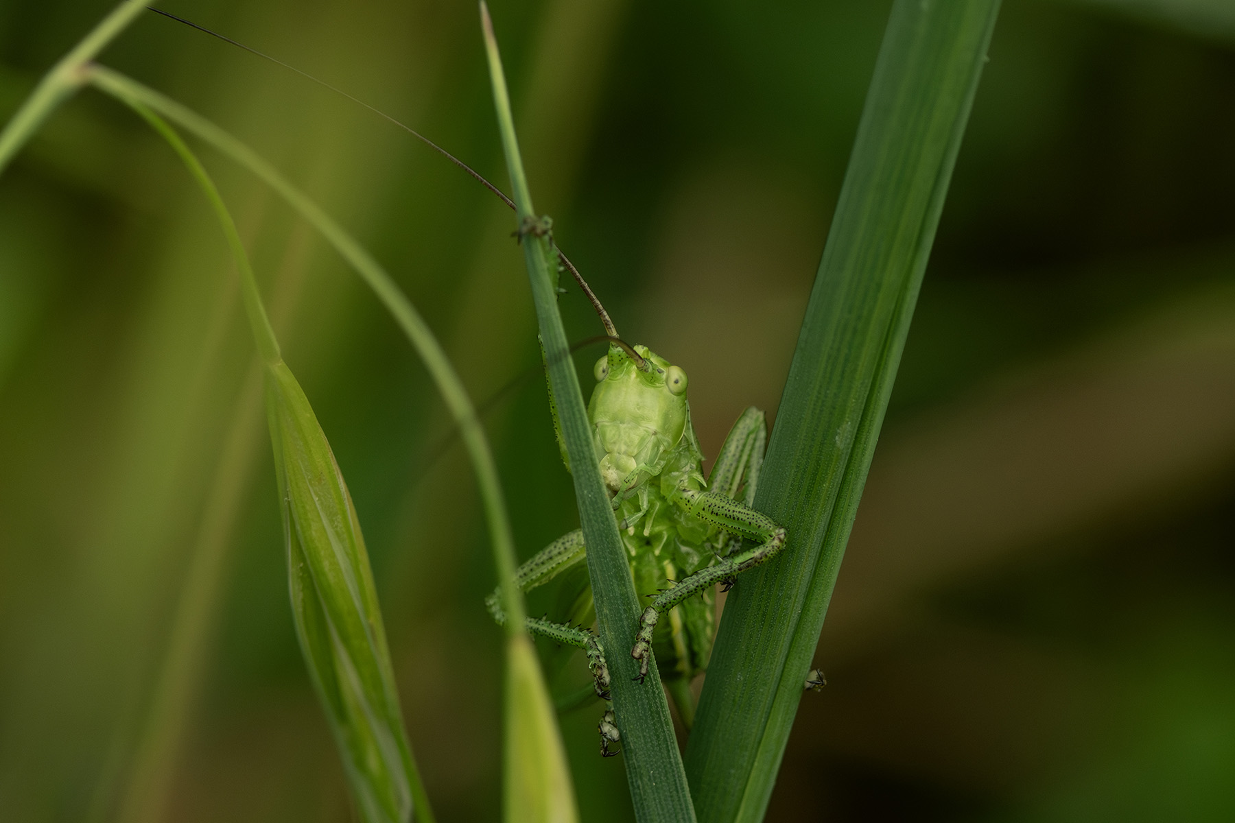 Macro_Mag2026_B_4
