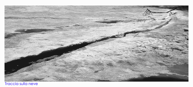 Traccia sulla neve