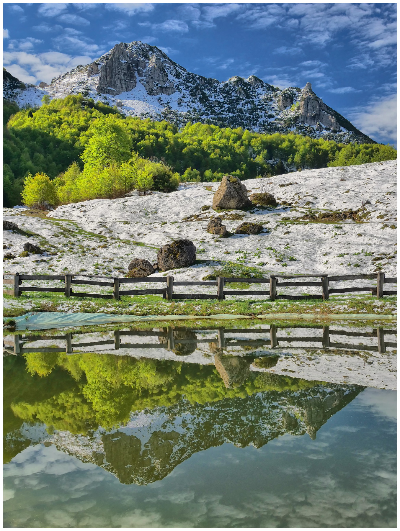spolverata di neve sulla primavera alpina