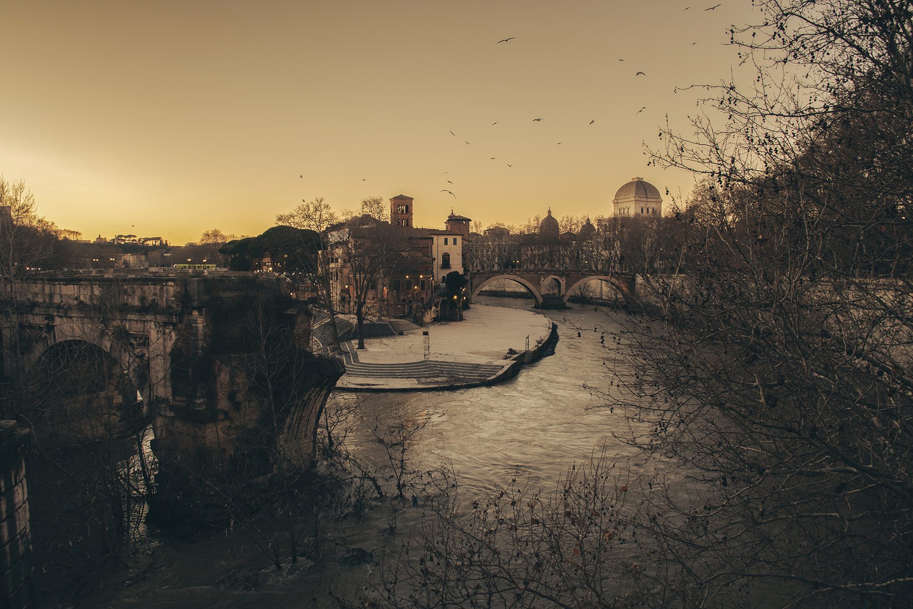 Roma_IsolaTiberina_Feb2026_1