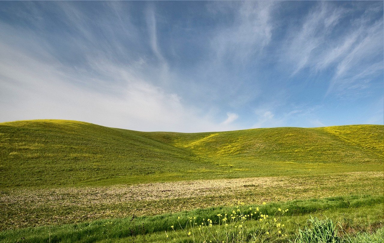 sweet hill