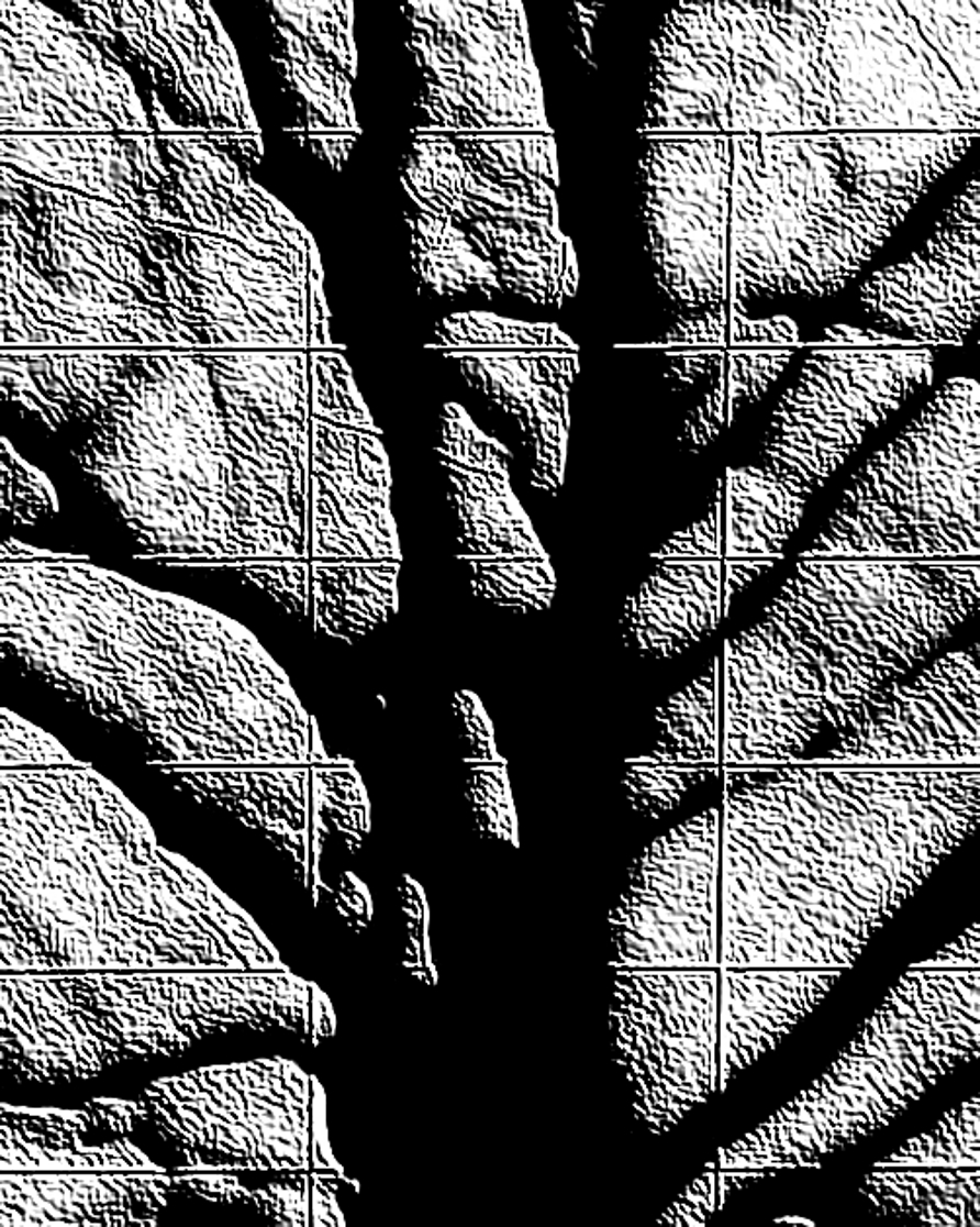 varie