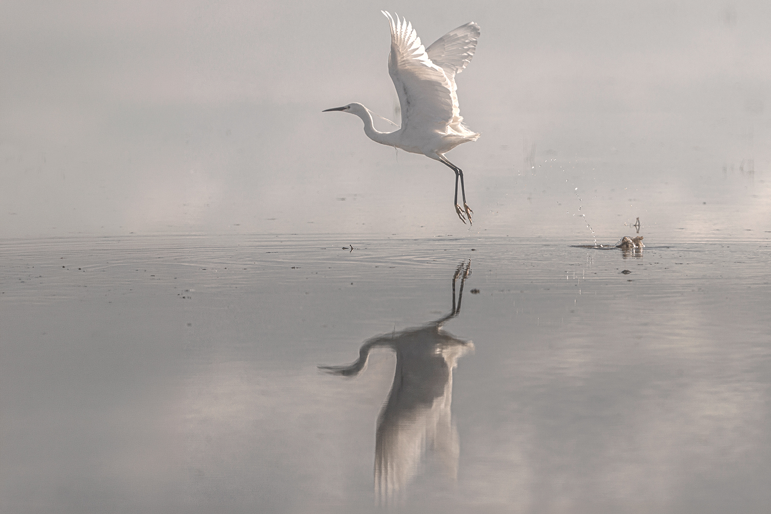 856401