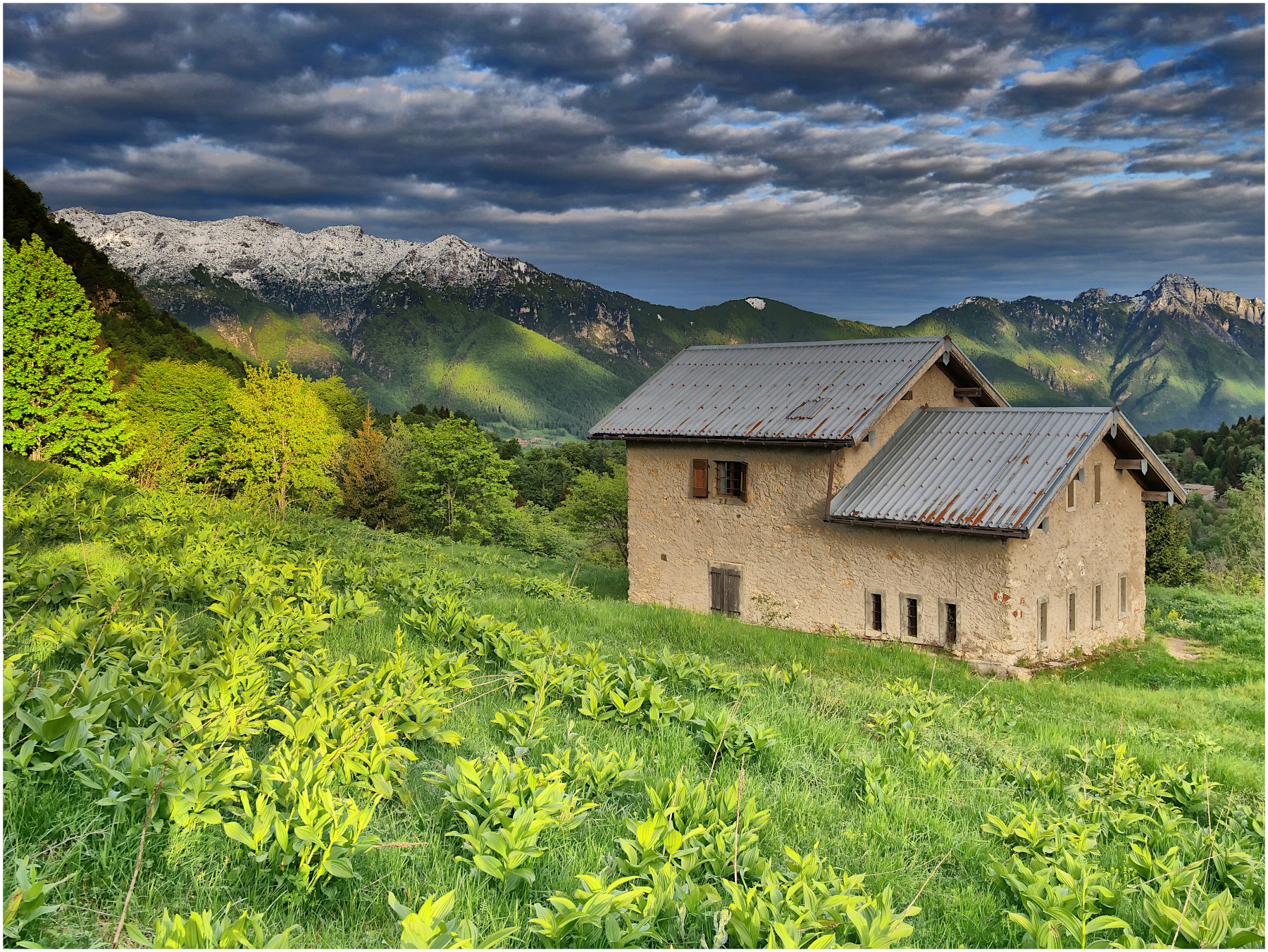 Malga Morbi, Alta Vallarsa