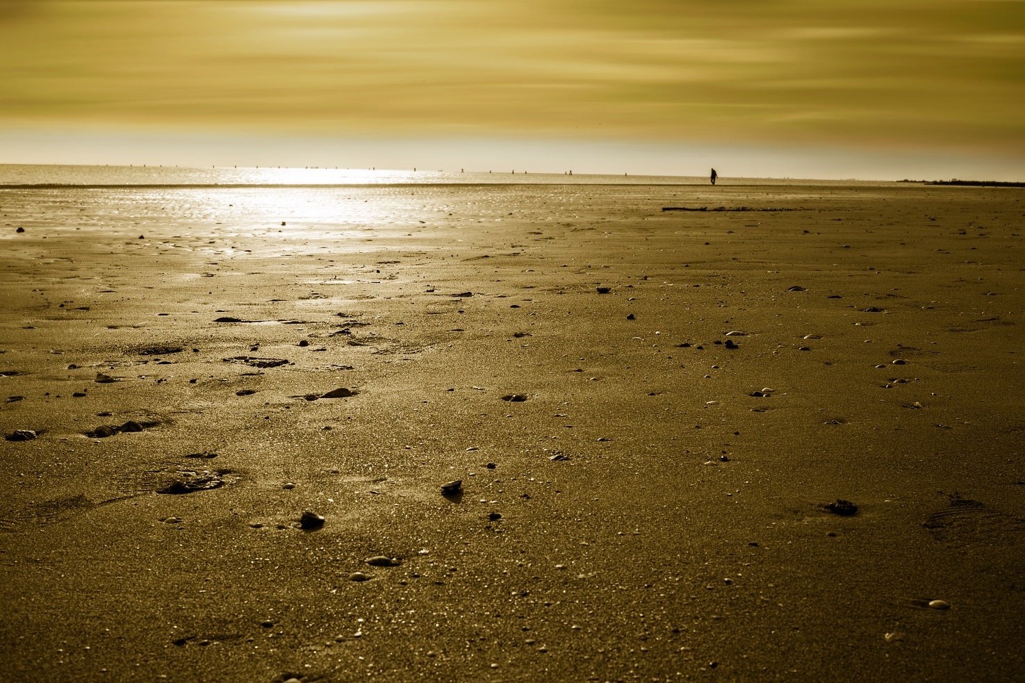 La solitudine d'oro