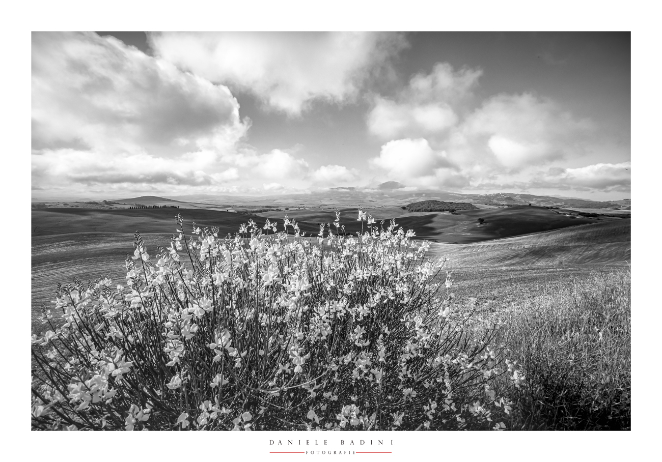 Val d'Orcia
