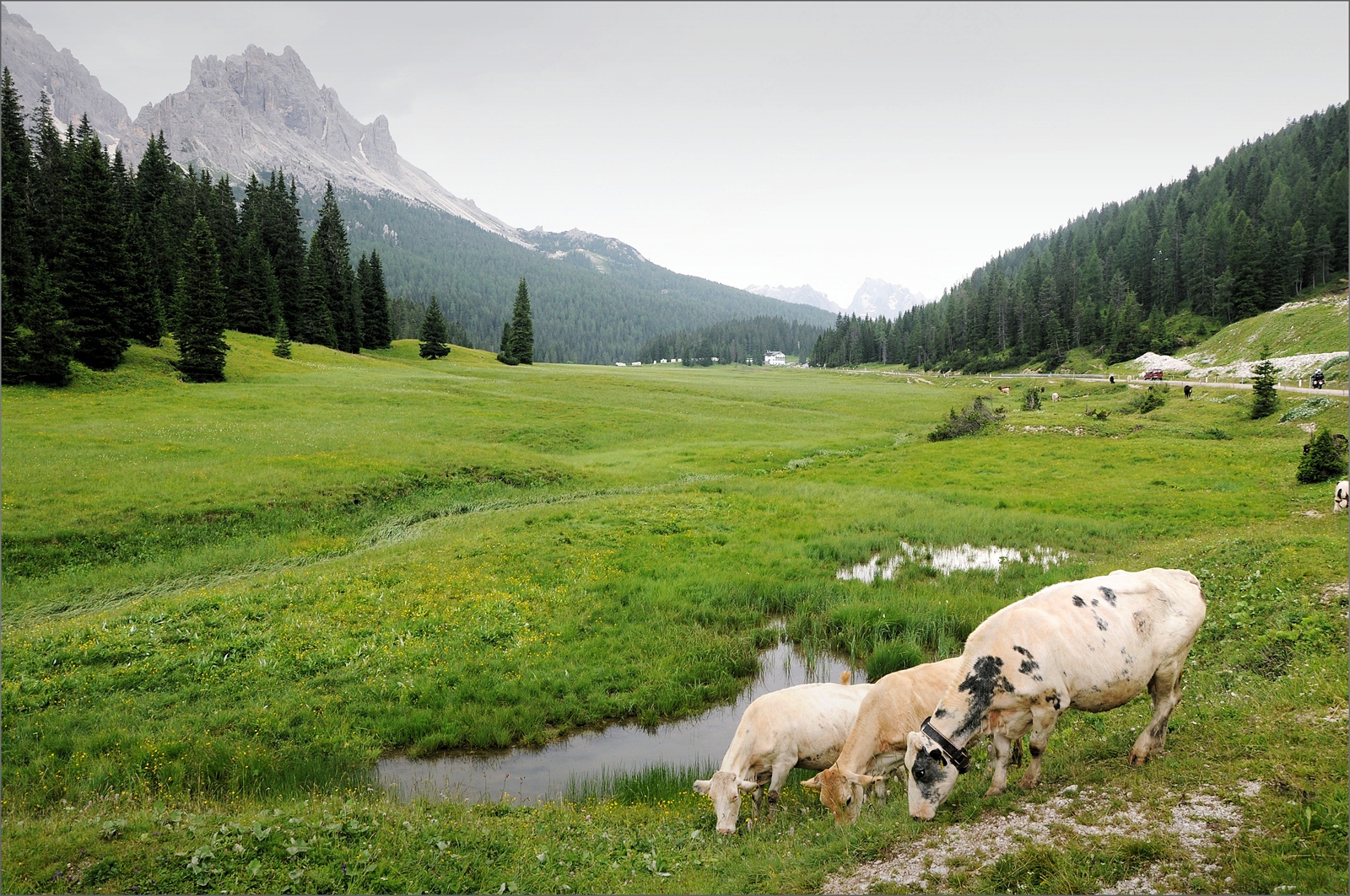Dolomiti