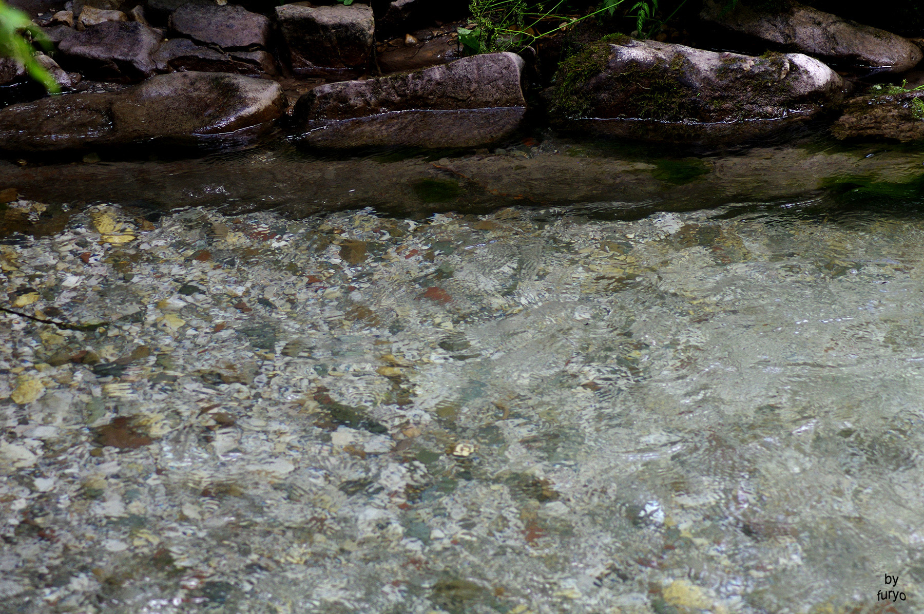 Rio Sesto