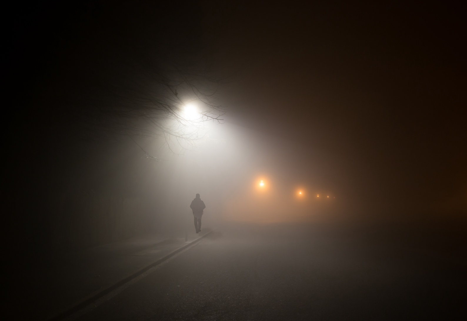 La nebbia