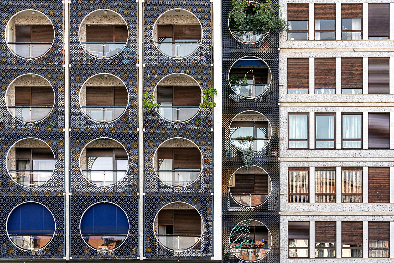 urban #276