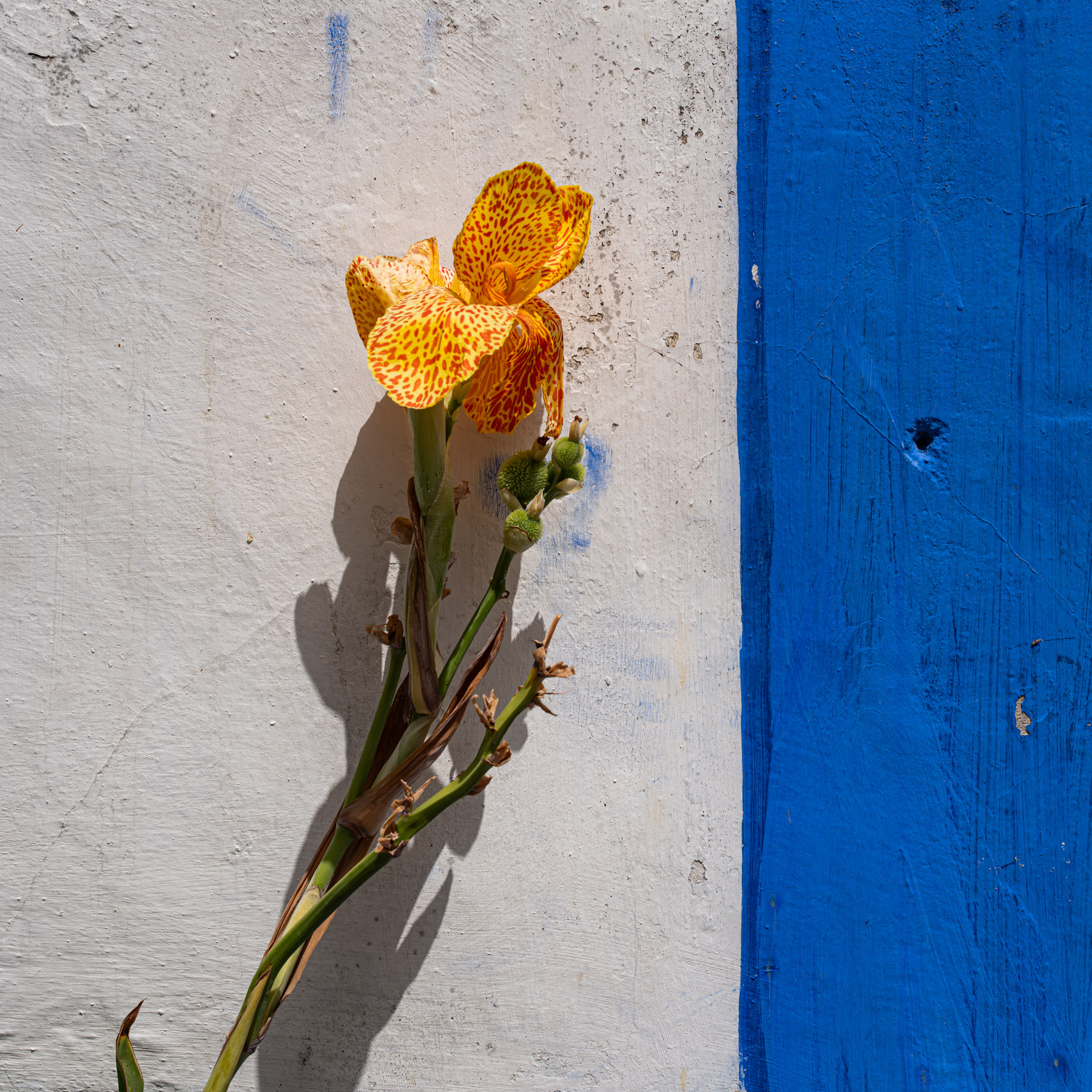 Obidos_2
