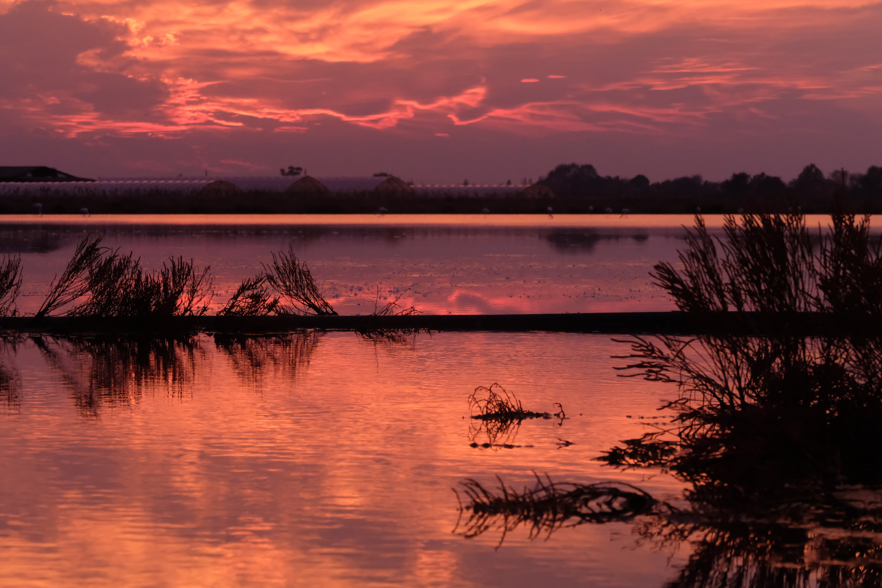 Le saline - 1
