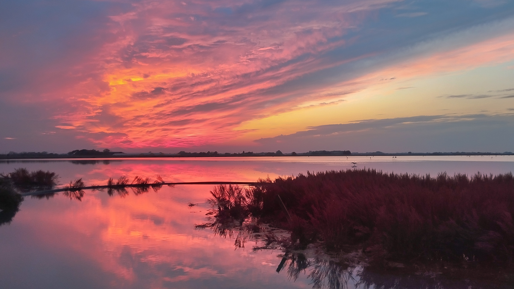Tramonto rosa