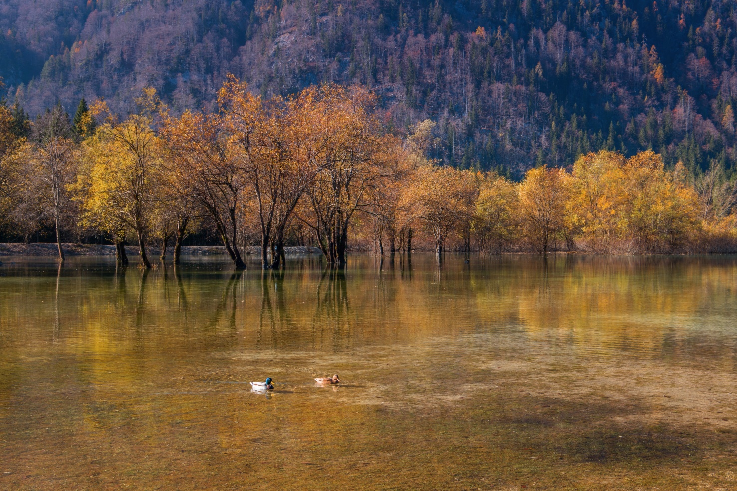 Fusine do ottobre