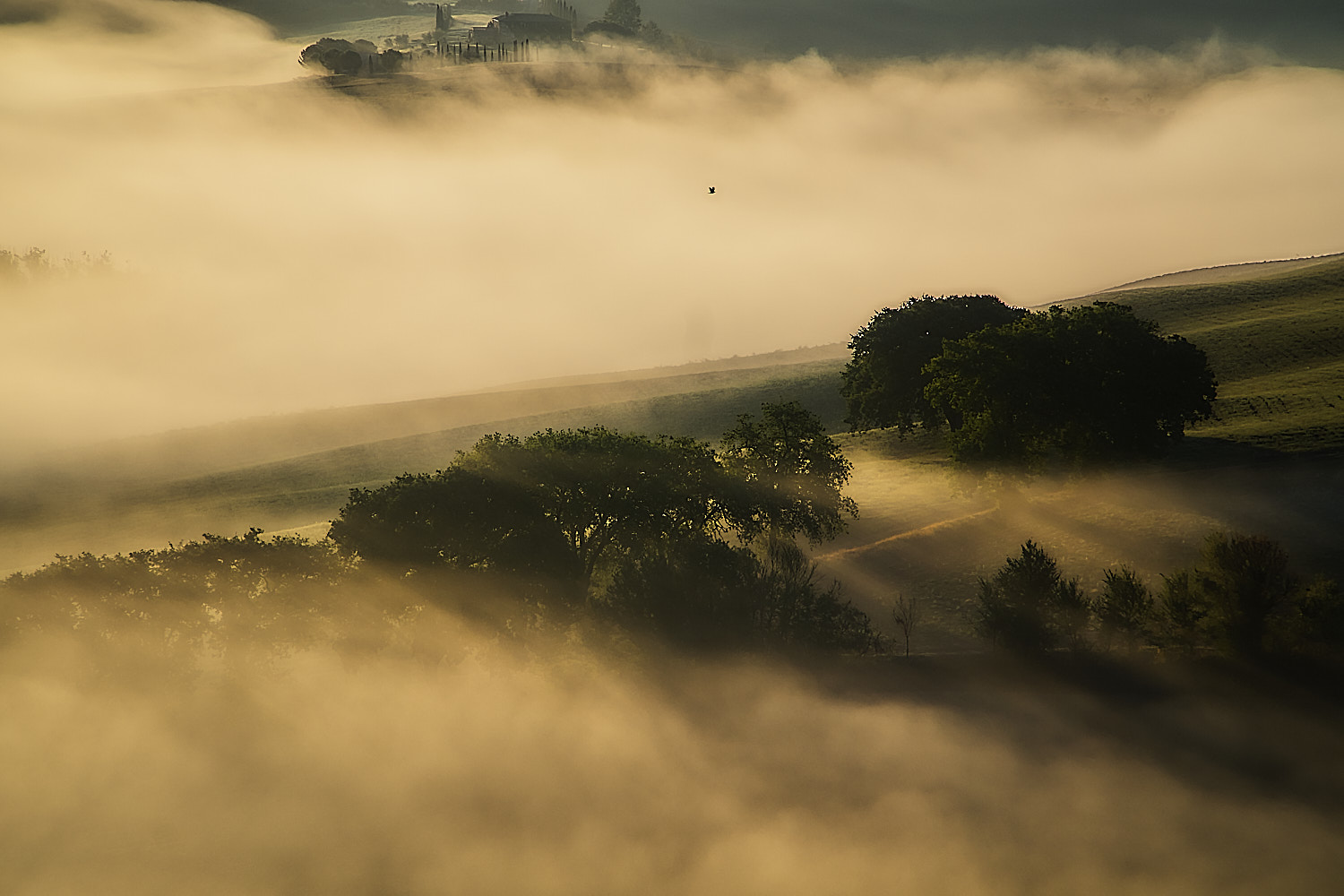 Valdorcia