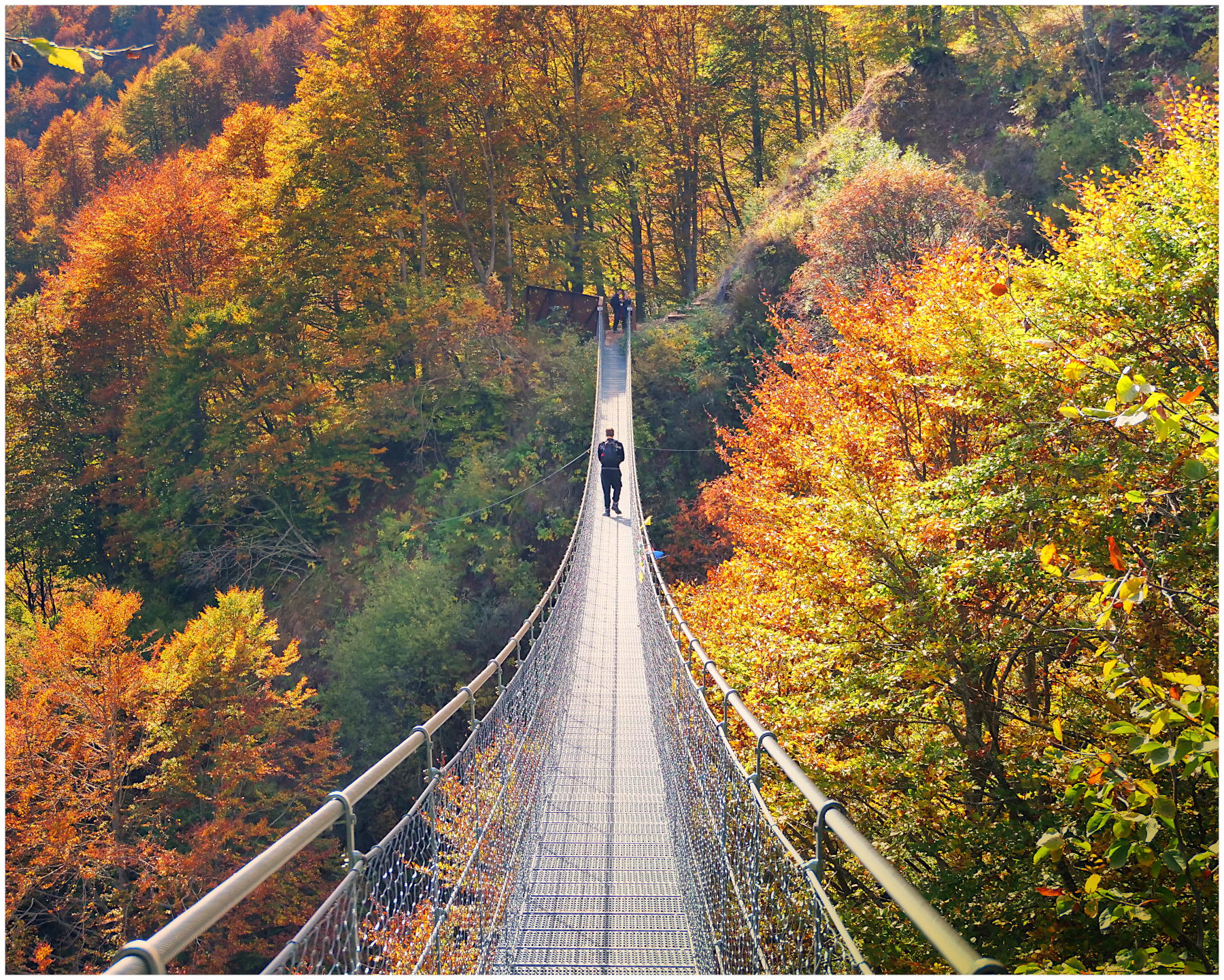 sospensione nell'autunno