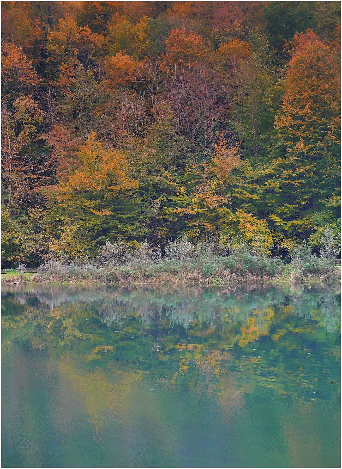 Autunno al Laghetto Main