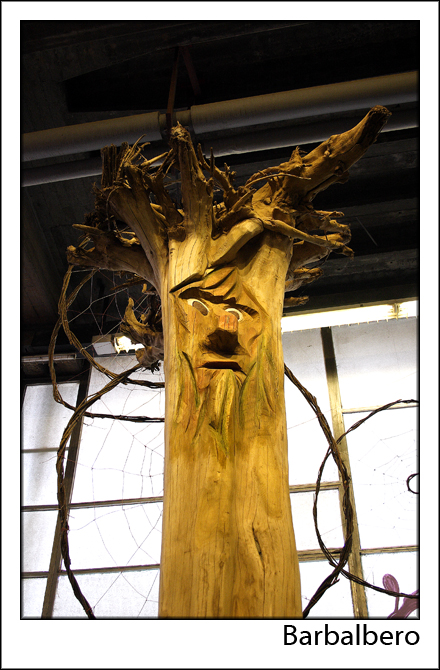 Barbalbero