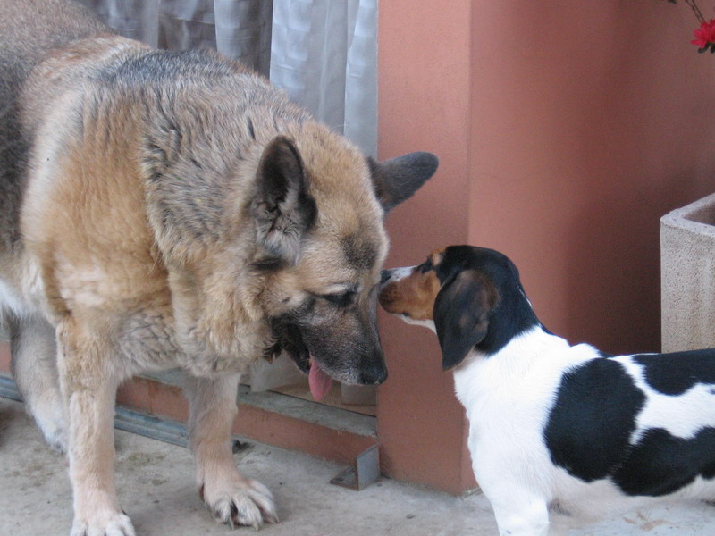 ...quanto ti voglio bene Layla...