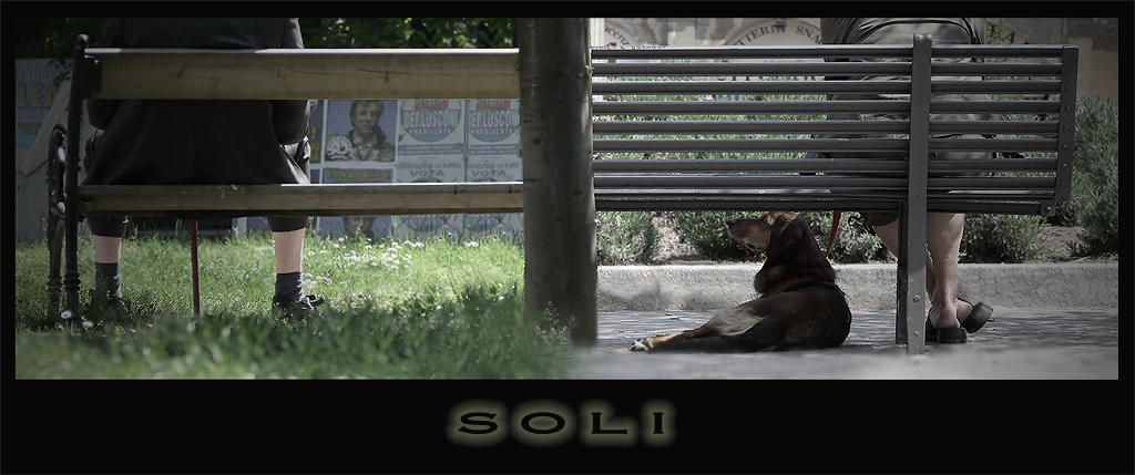 Soli