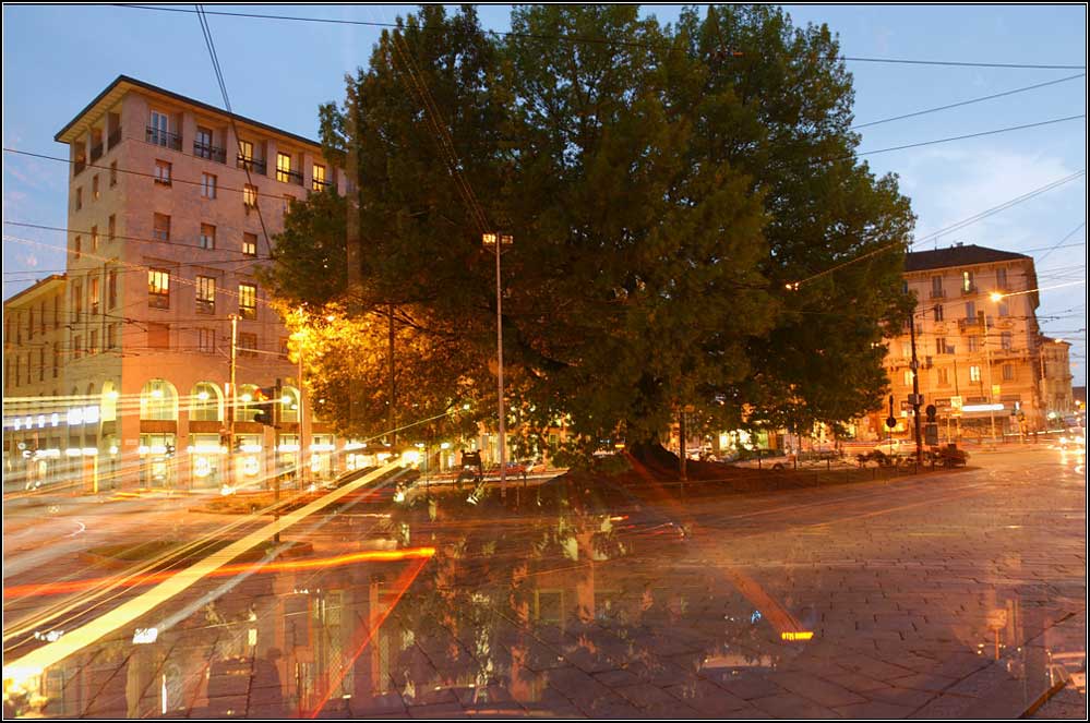 fermo nella frenesia