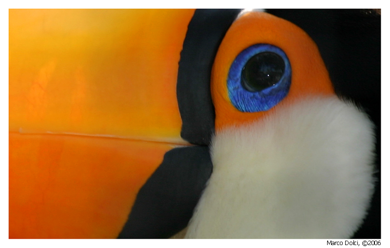 tucano 3