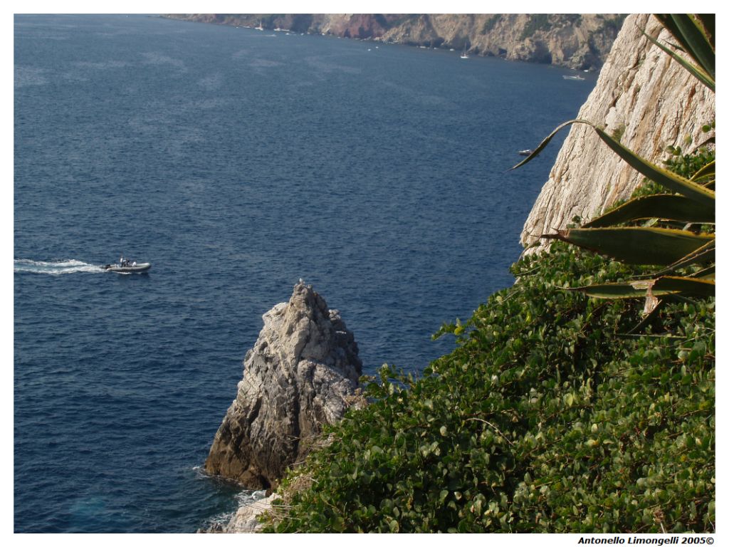 Scorcio di mare....dalle Cinque Terre