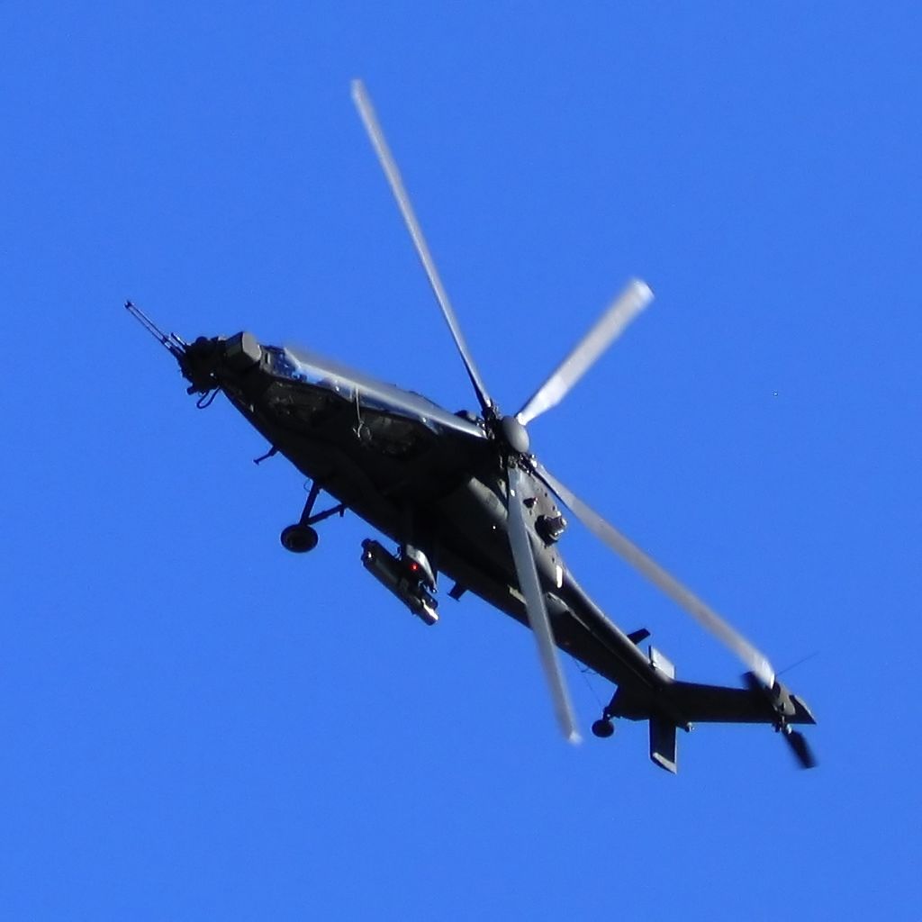 mangusta in volo sull'autodromo di imola