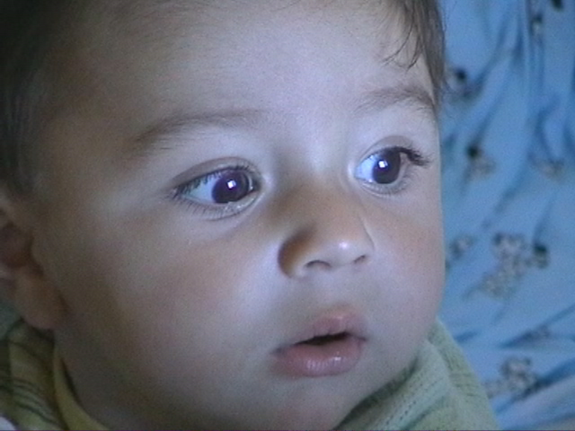 Alberto che fa oh! (molto prima di Povia)