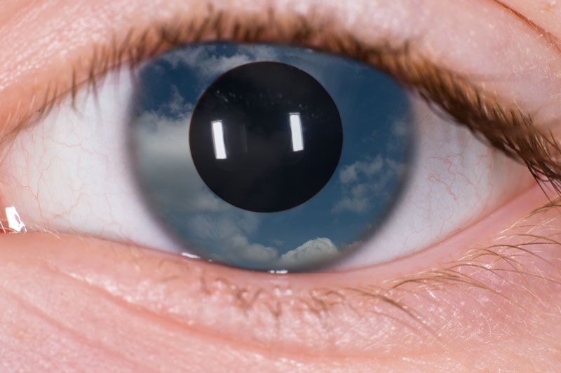 Magritte: il falso specchio