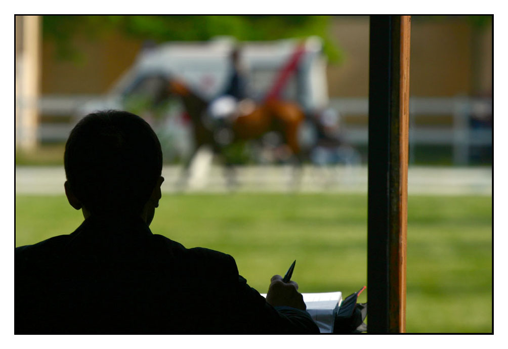 dressage - il giudizio