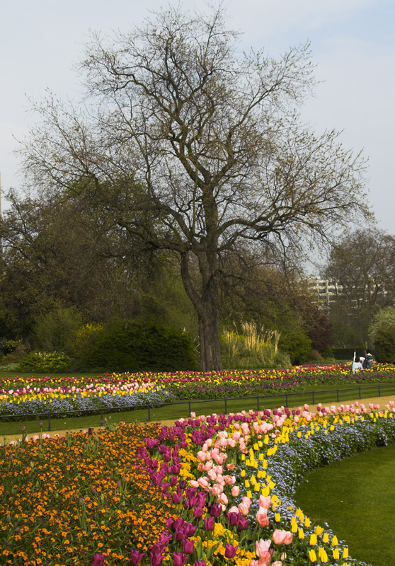 La natura di Londra