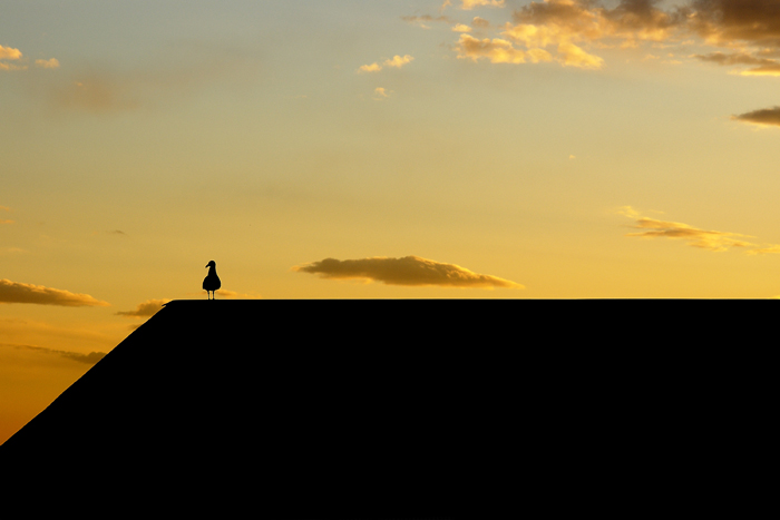 Ammirando il tramonto