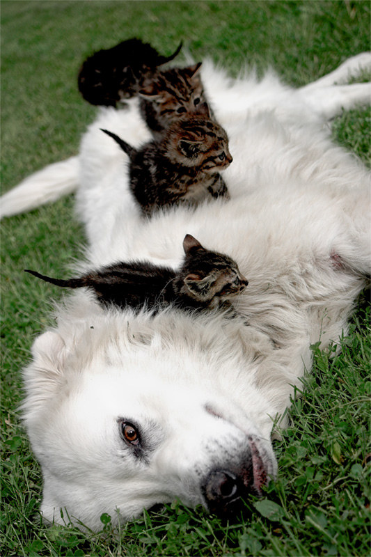 il tato casper! che mi tocca fare!