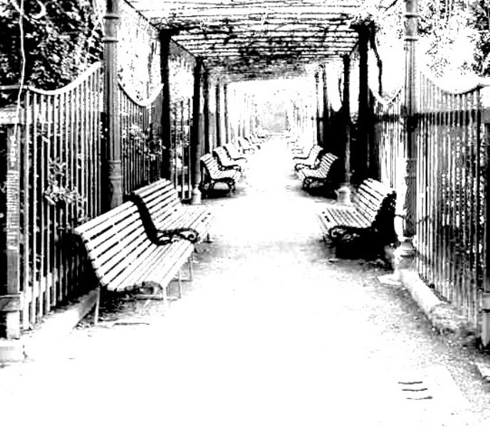 Il viale delle panchine